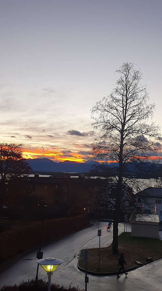 Morgenstemning fra kontoret på Carolus