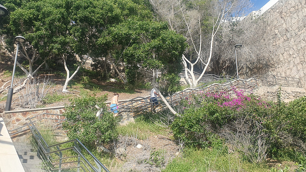 Opp Puerto Rico-trappen i 33 pluss..