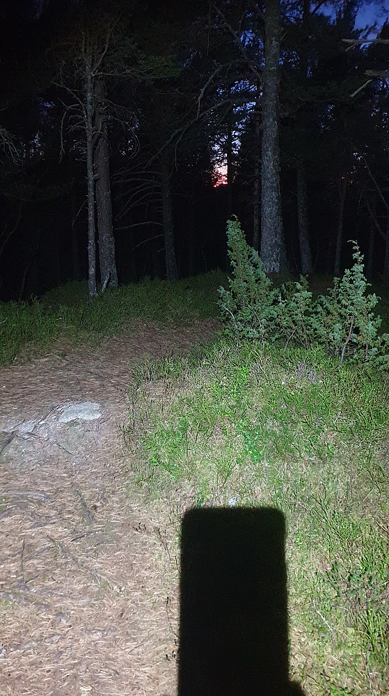 Ble jammen ny topp i dag: Storhaugen