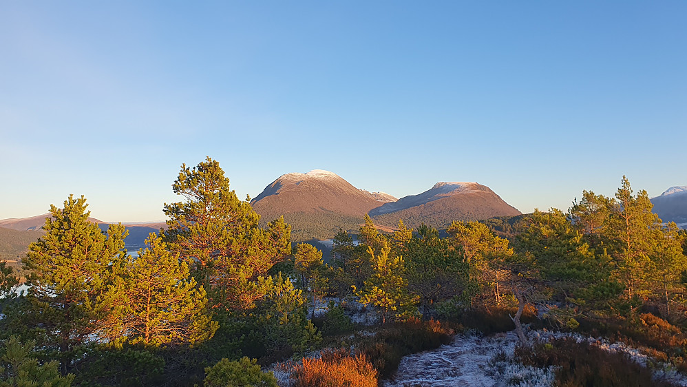 På Klempertåsen. Mot Talstadhesten og Høgheia. 