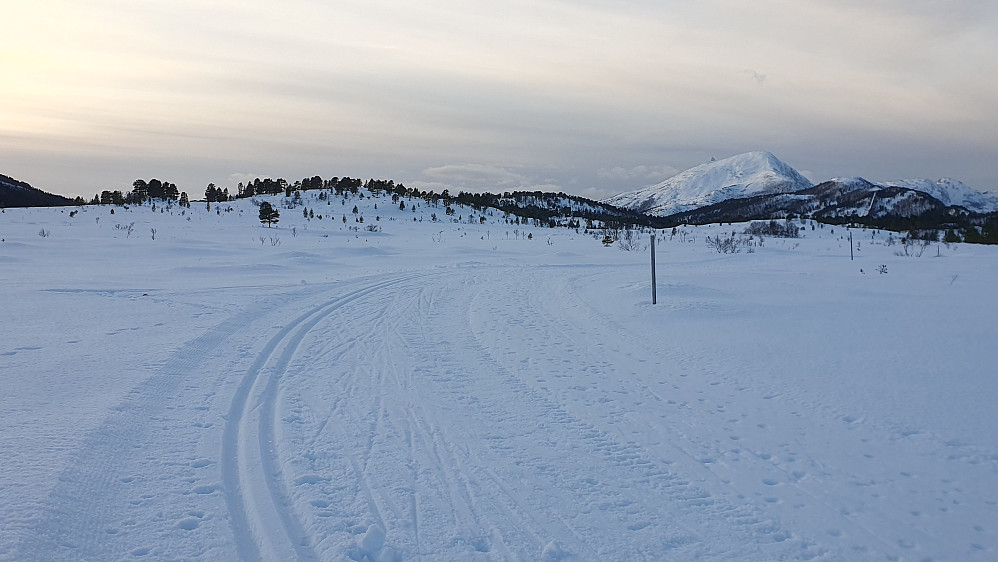 Berrmyran,  Tusten i bakgrunnen 