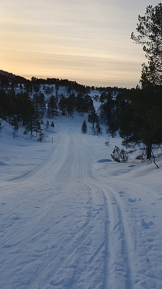 Ulvshaugrunden