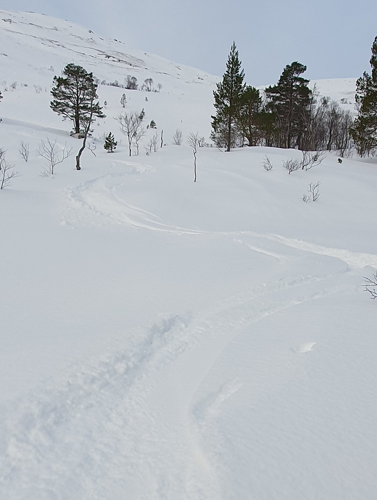 Nederst i Østfjella