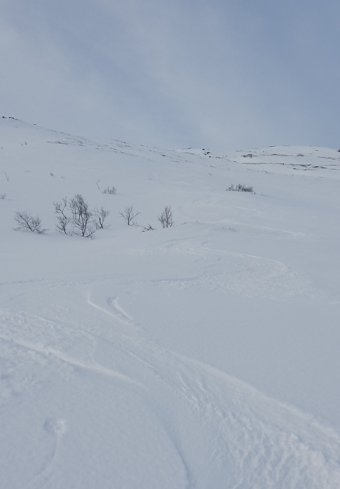 Østfjella