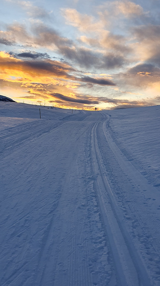 Langdalsreset