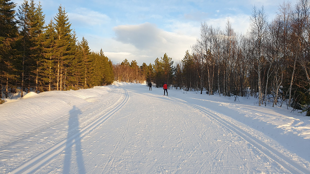 Kordalen