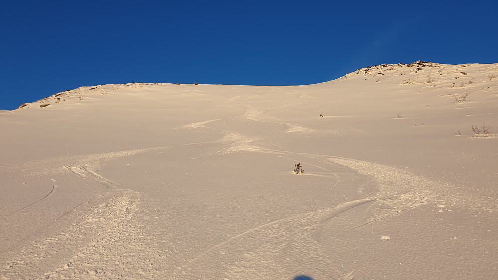 Deilig styresnø på skare 