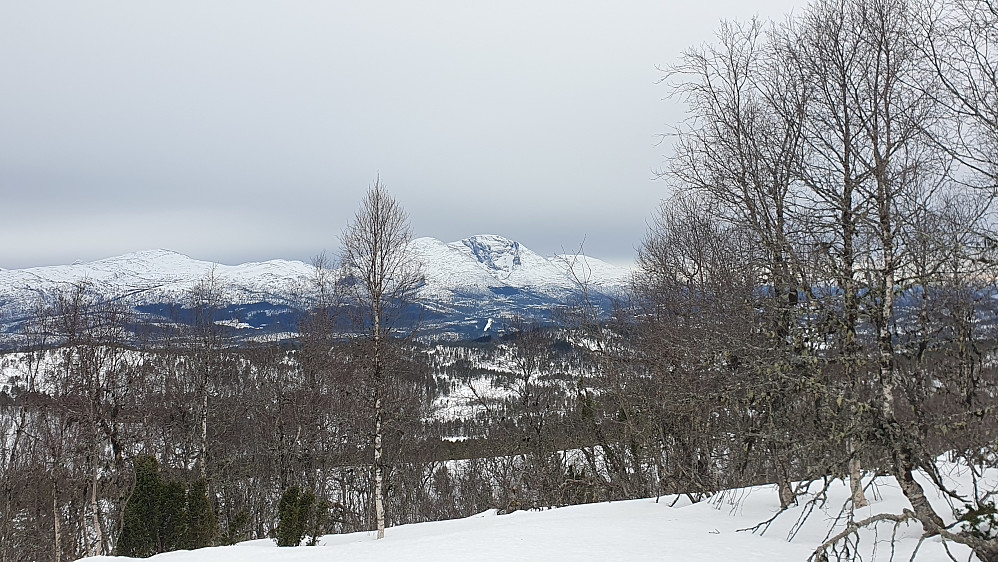 Skåla sett fra Sollisæterhaugen 