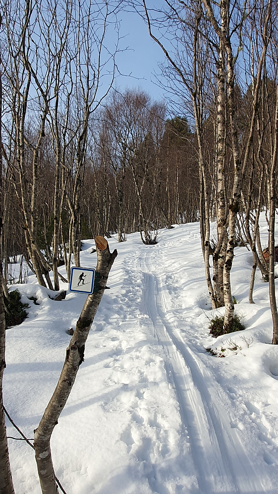 Randoløypa 