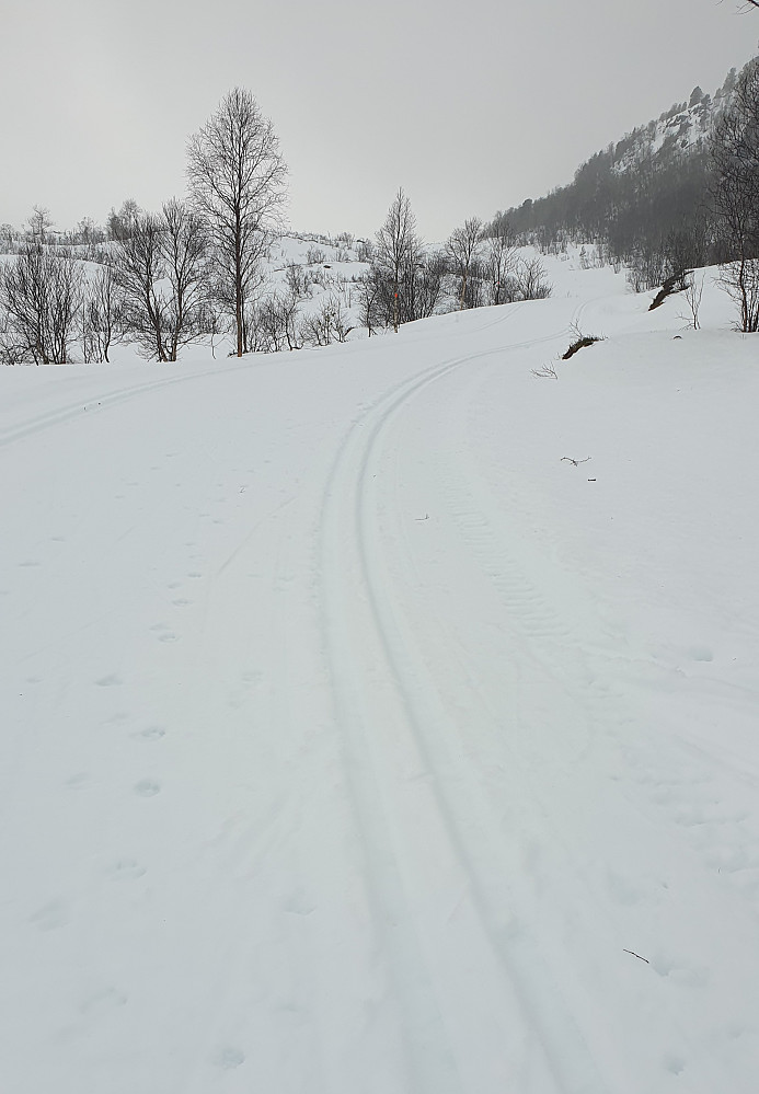 Opp mot Langdalsreset fra Langdalsvatnet