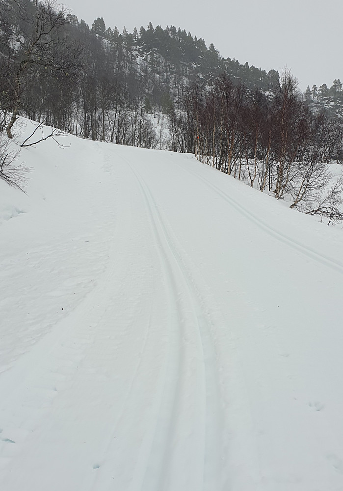 I Langdalen