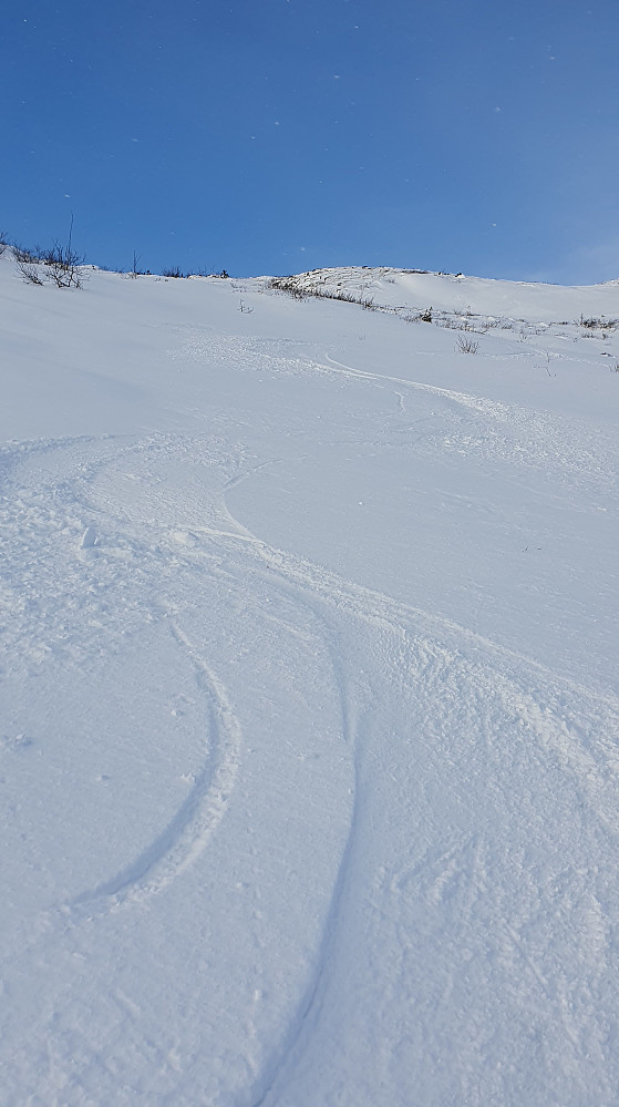 Flott føre i haglsnøen 