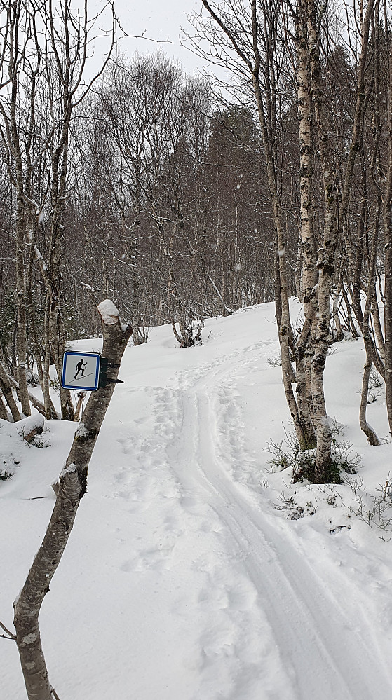 Opp Randoløypa 