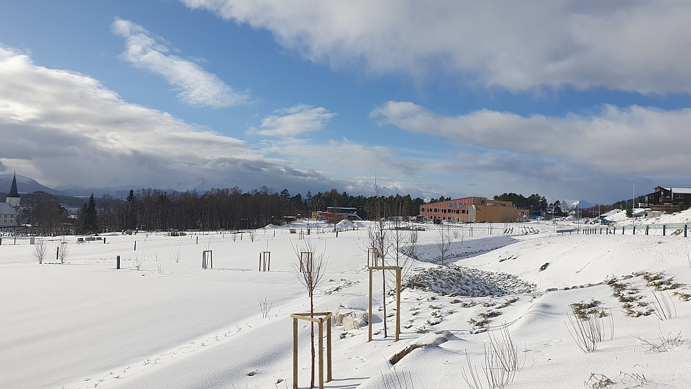 Gamle Prestegardsskogen, der det nå bygges gravsted (bak sees nyskolen).