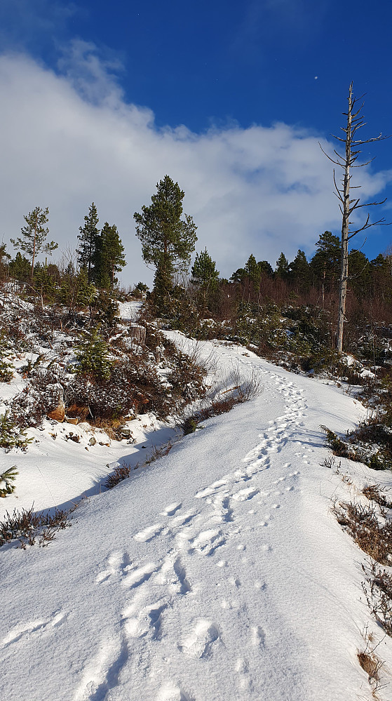 Opp mot Årøhuken 