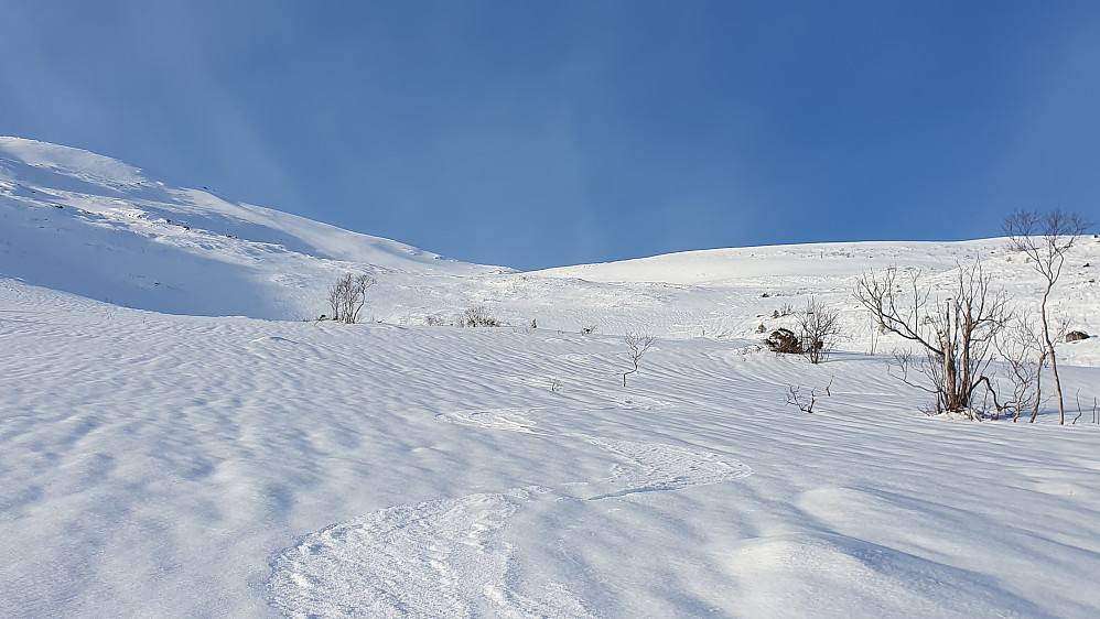 Nederst i Østfjella før fellene tas på igjen 