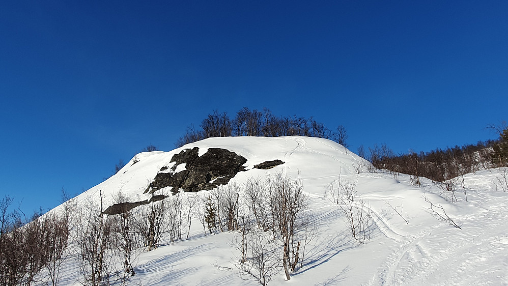 Nedre Liarberget