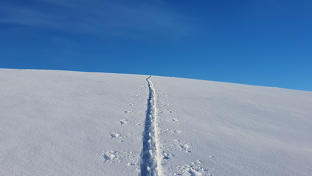 Sporet mitt fra i går opp mot Nordtoppen