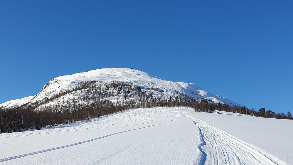 Rånåkollen
