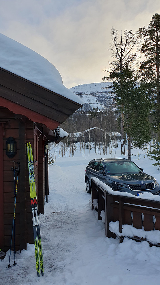 Klar for morgentur i skiløypene på Bjorli. Zeroski, som fungerte nogenlunde bra på det litt harde føret.