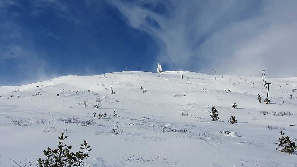 Søre Tusten