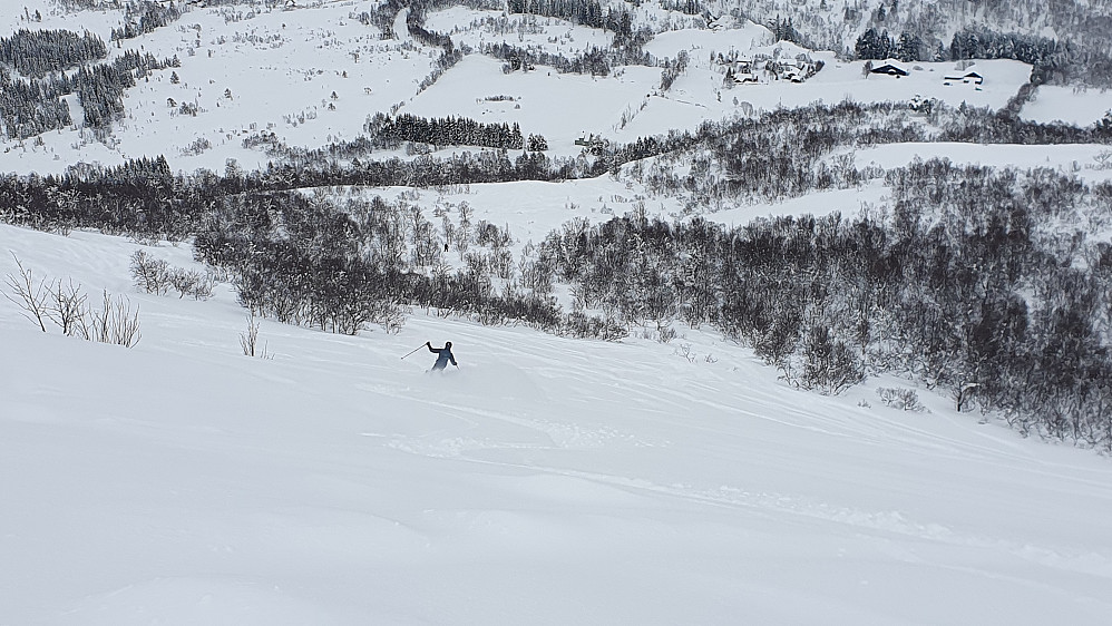 Arne i farta