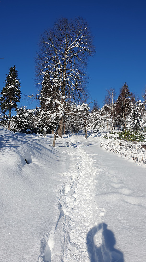 Inn i Reknesparken
