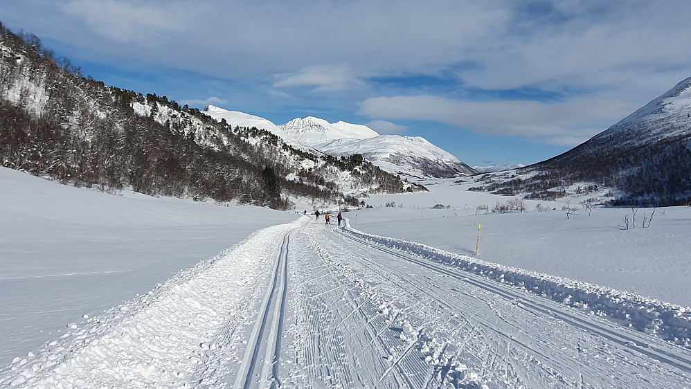 Langdalsreset på tilbaketuren (nordløypa) - mot Sørtussen/Stortussen/Snøtind og Langvatnet