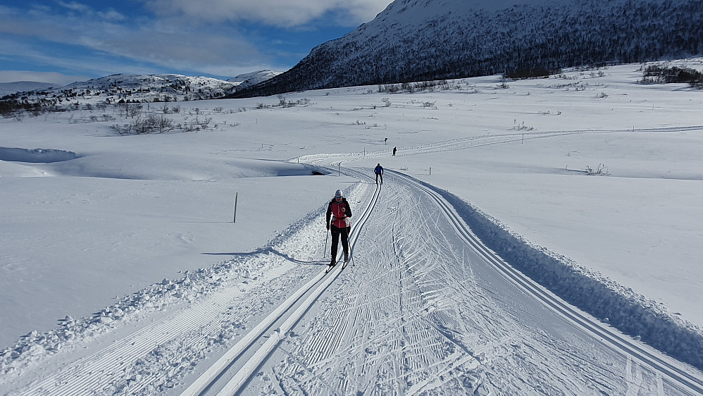 Langdalen