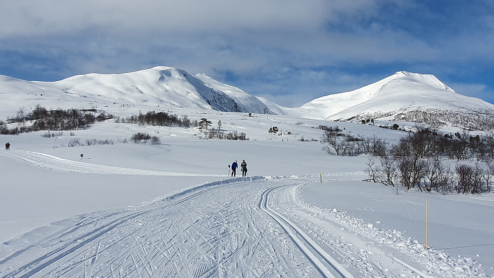 Langdalen - mot Bjørnen og Luten 