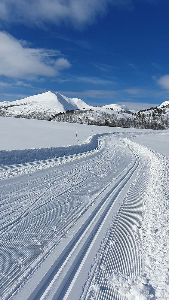 Langdalsreset 