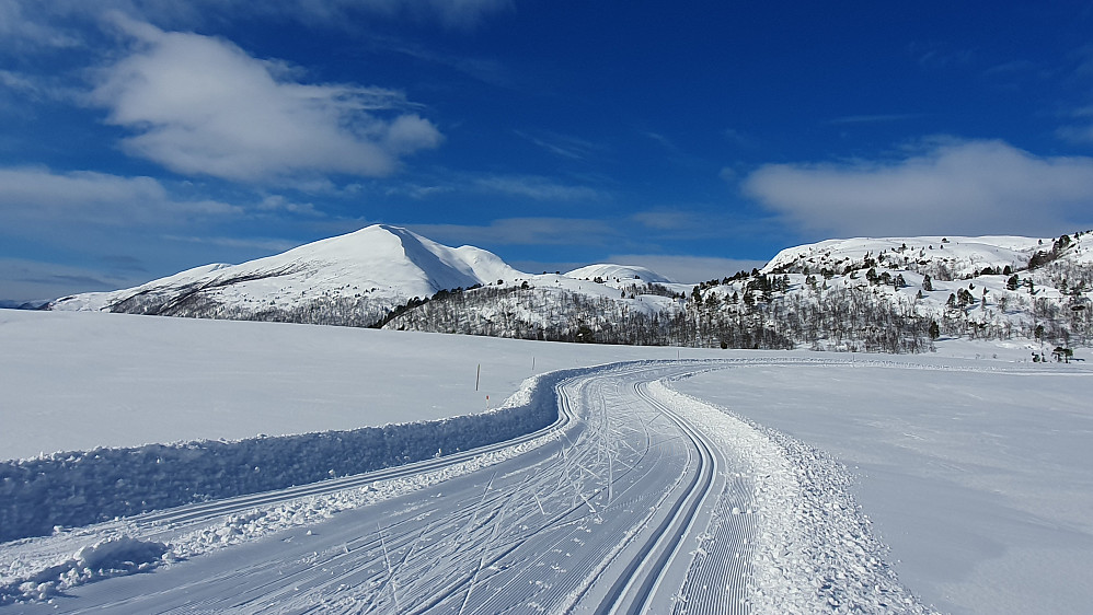 Langdalsreset - mot Urfjellet 
