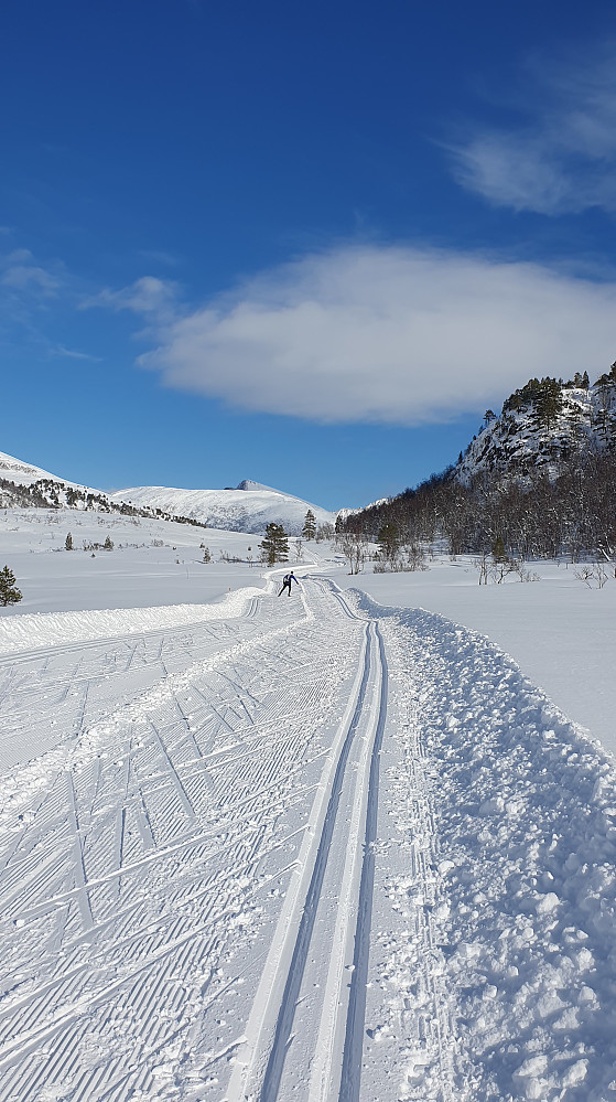 Opp mot Langdalsreset (sørløypa)