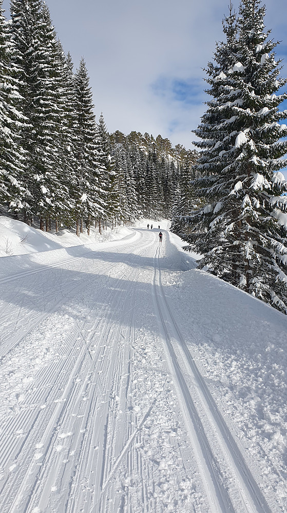 Kordalen 