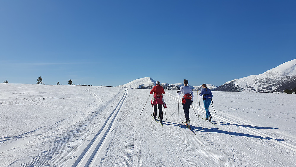 Opp fra Kringla 