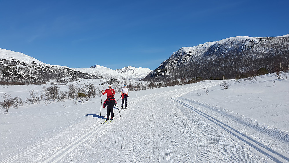 Ved Gunnilla/Kringla 