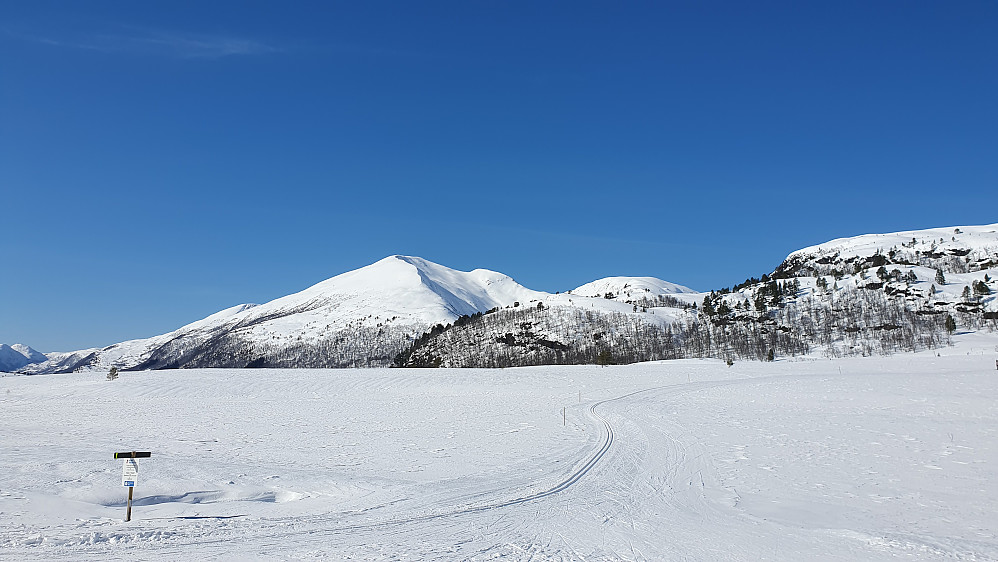Langdalsreset, mot Urfjellet 