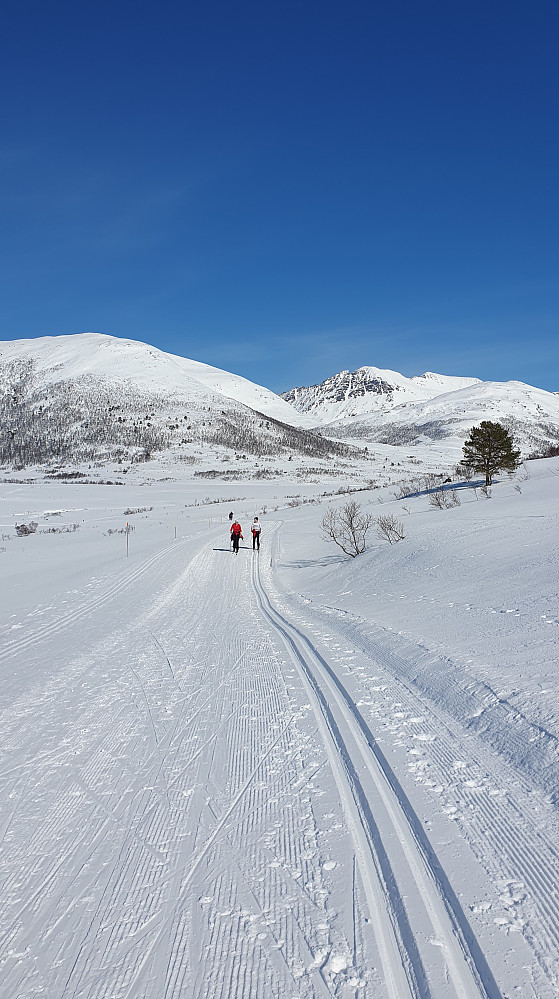 Tilbakeblikk på tilbaketuren i Langdalen 