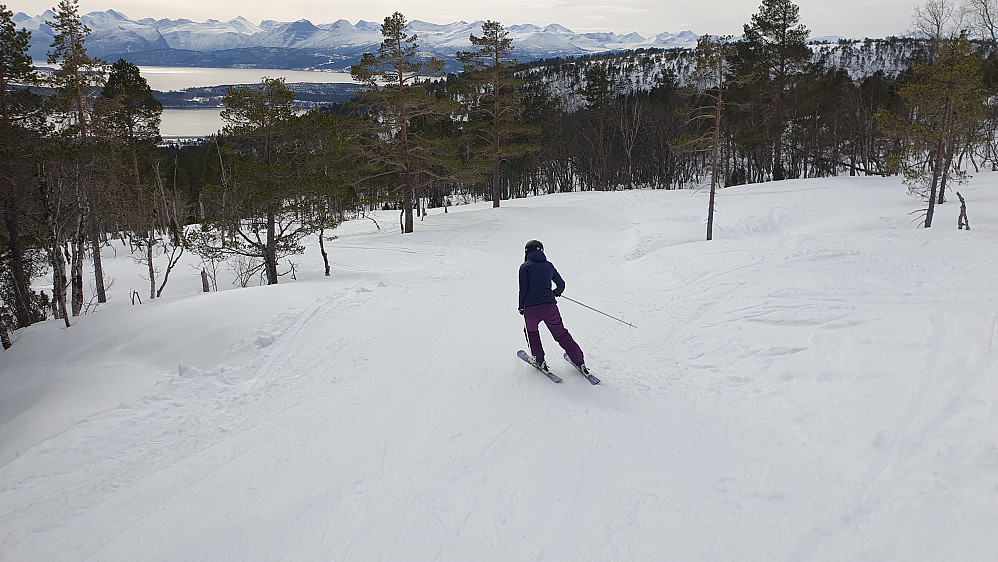 Nede i Vestfjella 