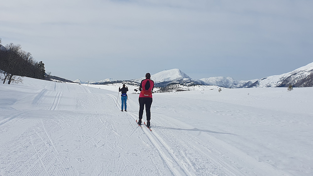 Langdalsreset 