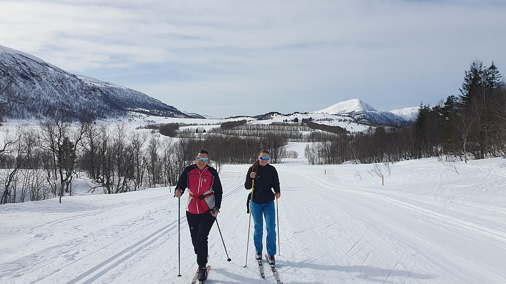 Opp mot Langdalsreset 