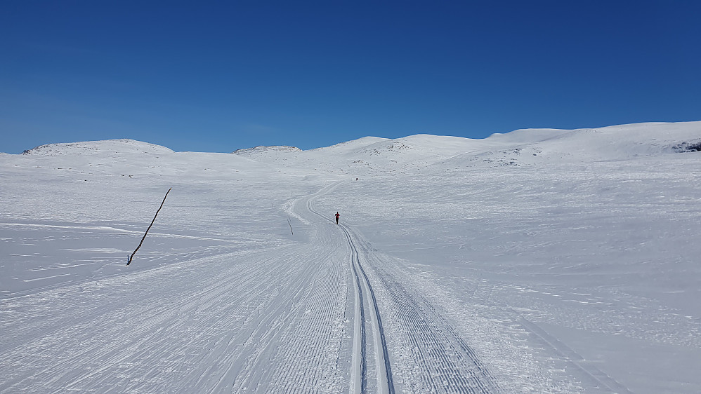 Fin dag i Fjellrunden 