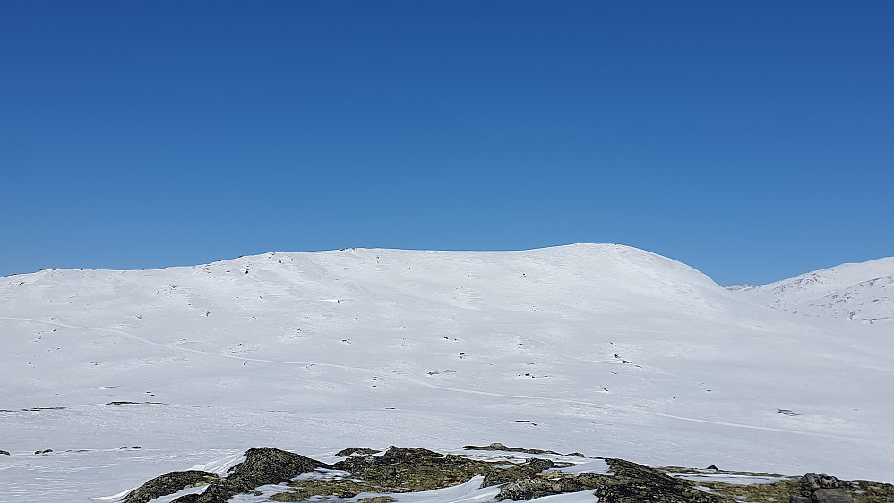 Kollhøi sett fra Ettare Kongelberget 