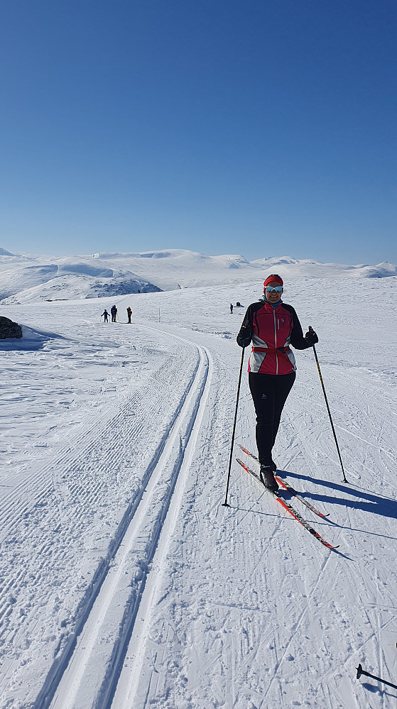 Oppe i Fjellrunden