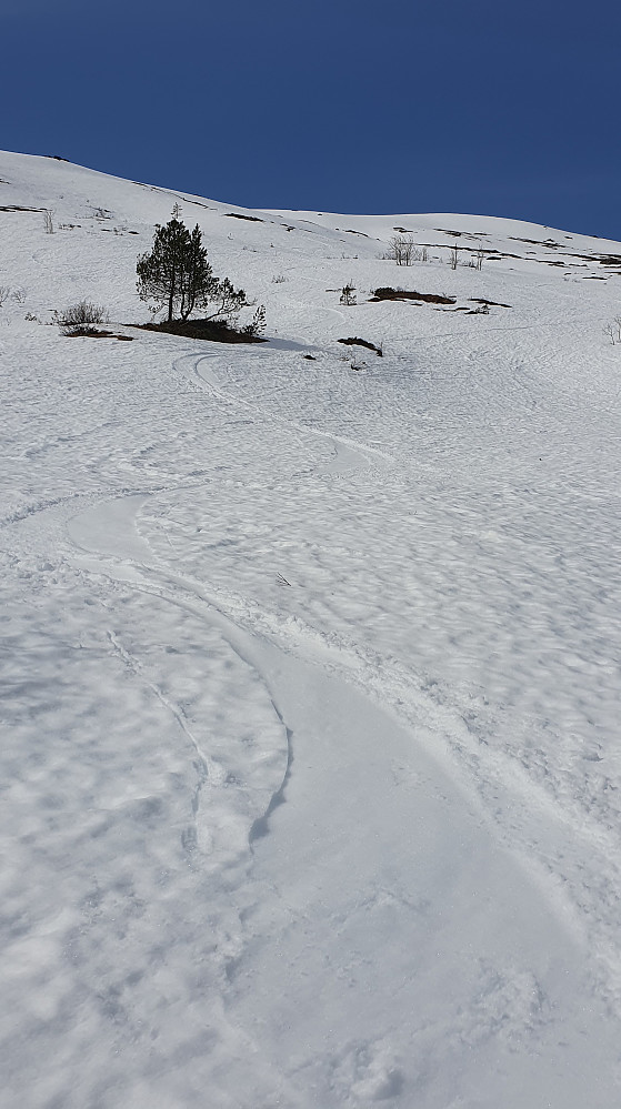 Østfjella 