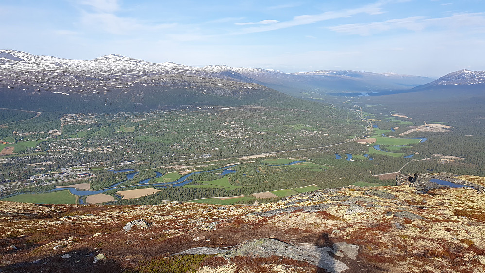 Bjorli og Lesjaskog 