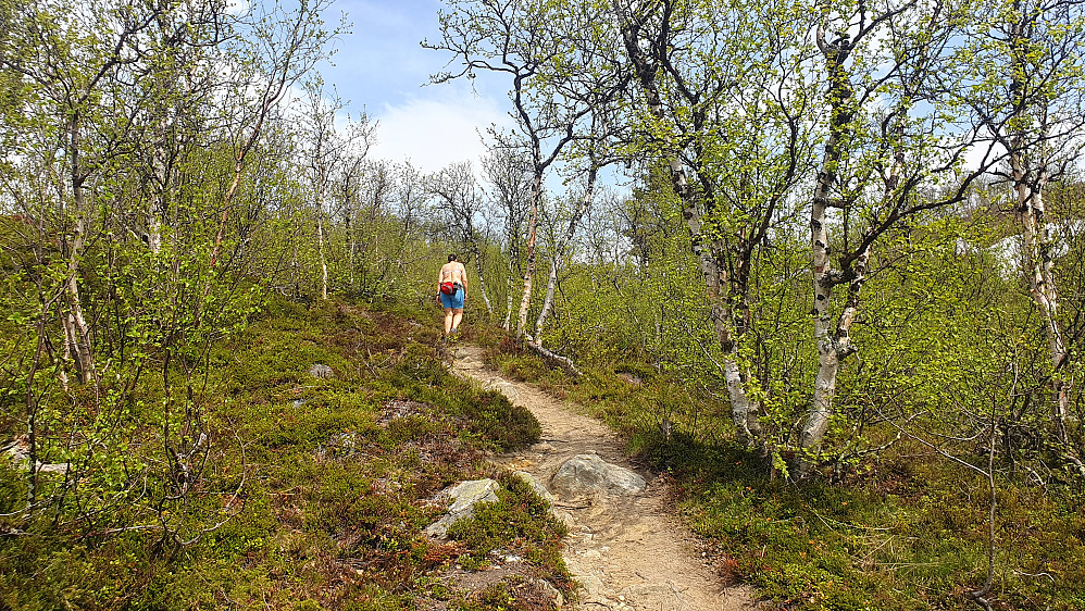 Fin sti, og flott tur til Kongelberget 