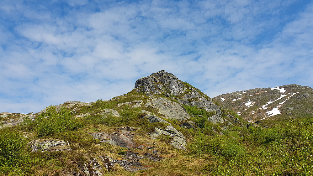 Rindarnuten
