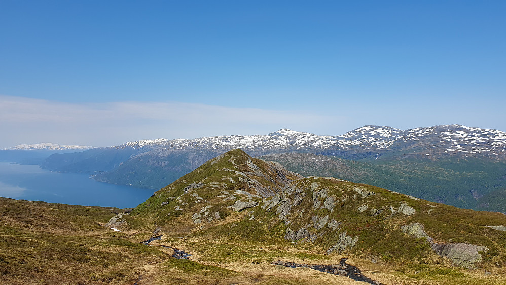Rindarnuten