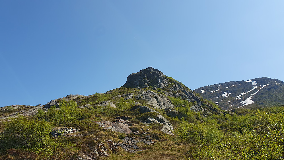 Tok en avstikker til Rindarnuten